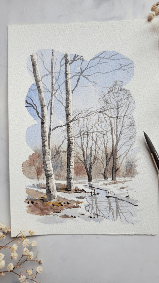 Bouleaux d'hiver