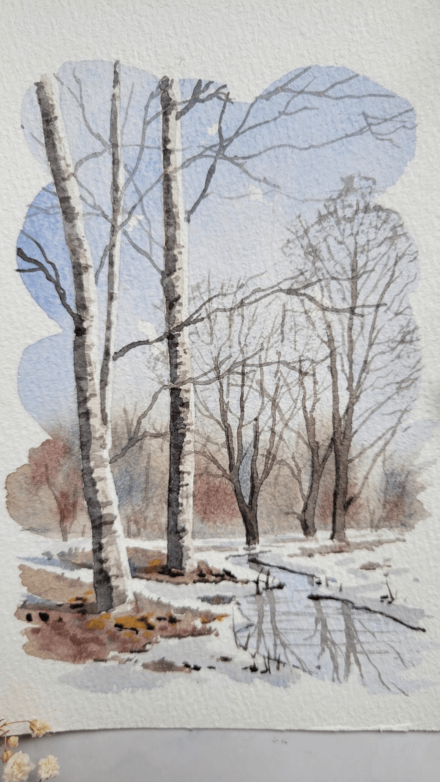 Bouleaux d'hiver